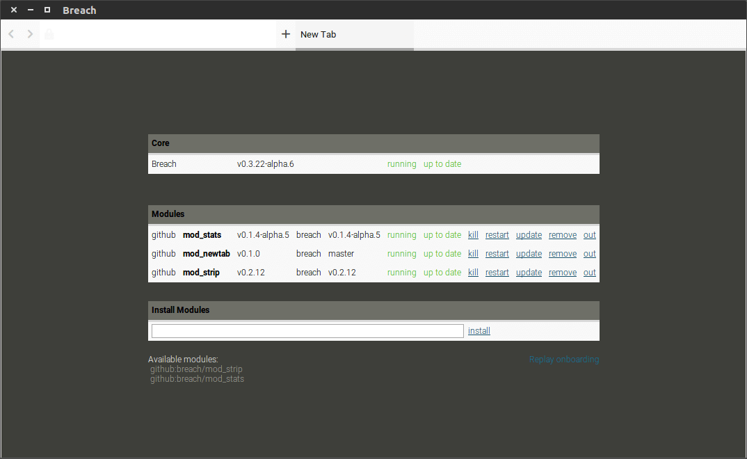 Module Screen