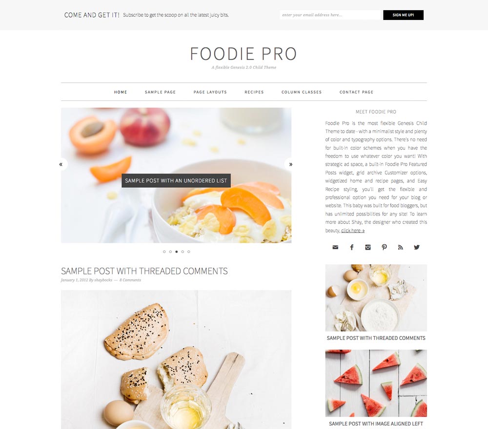 Wordpress Themes For Blogs Foodie