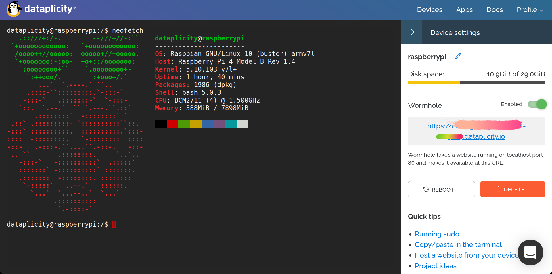 remote terminal dataplicity