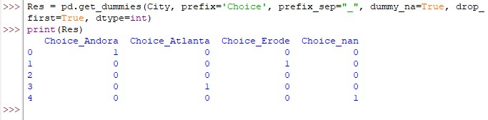 Dummy Variable Dataframe After Custom Settings