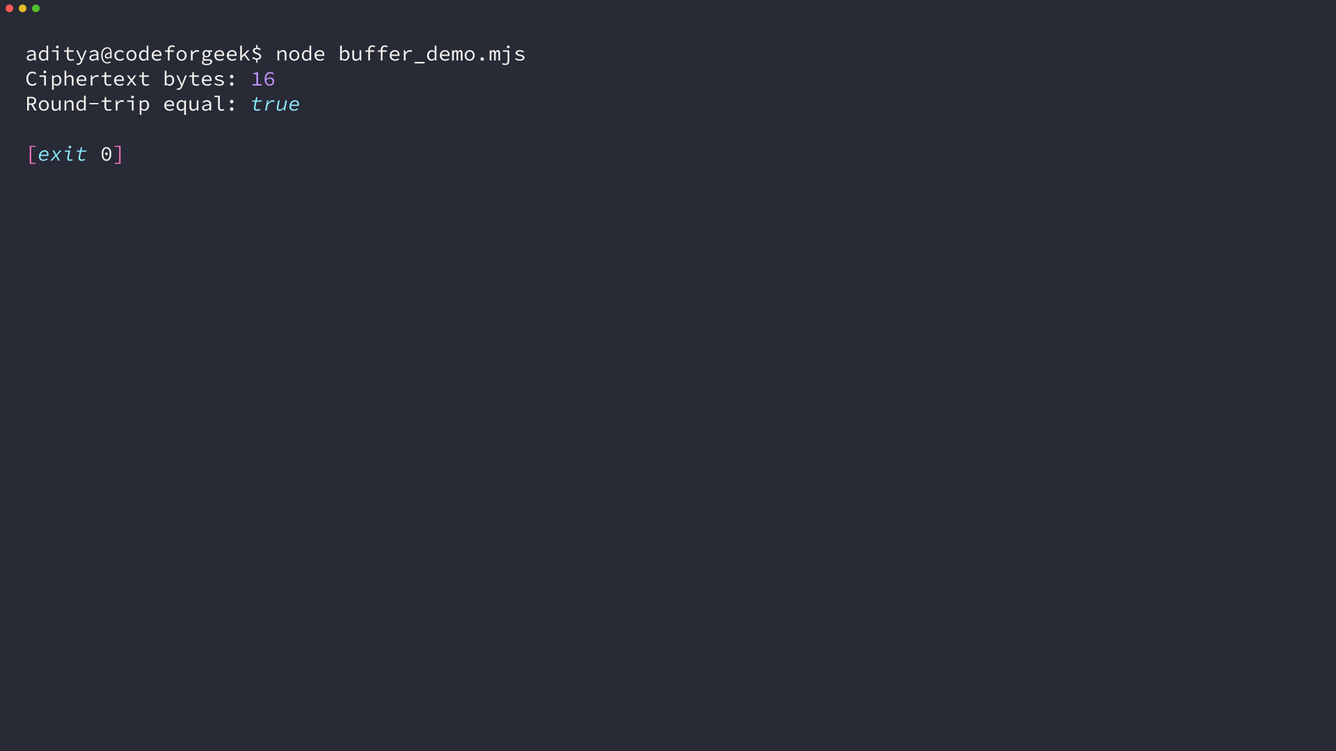 Terminal showing node buffer_demo.mjs round-tripping binary bytes