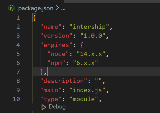 Image of package.json