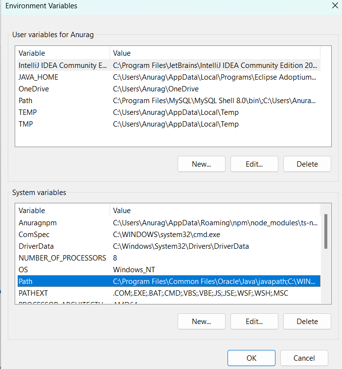 Image of environment variables