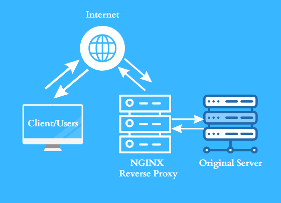 Nginx Illustration