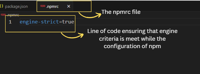 Node version defined made sure 