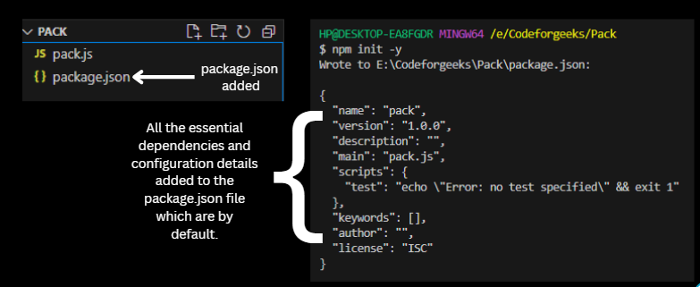 Package Json File Example