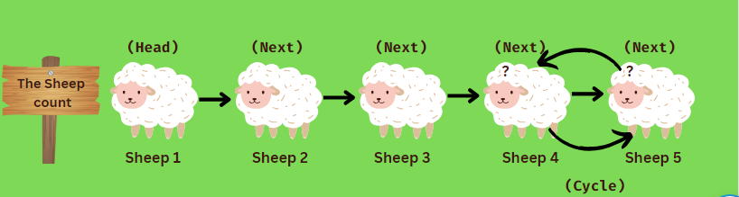 Sheep Algo 