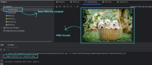 Reading, Writing and Displaying Images Using OpenCV in Python | CodeForGeek