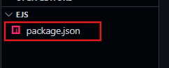 package.json file