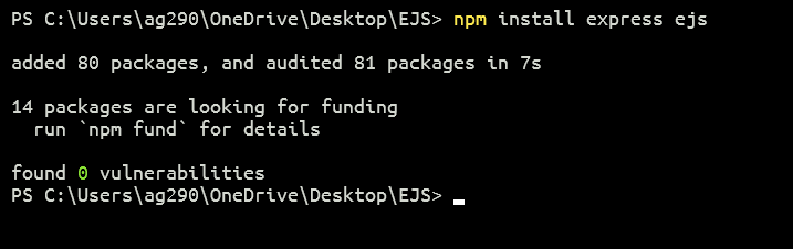 npm install command