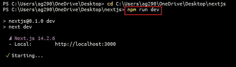 Output of npm run dev