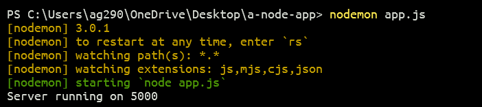 Starting the Server with Nodemon