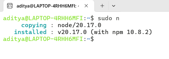 Switch Node.js Version