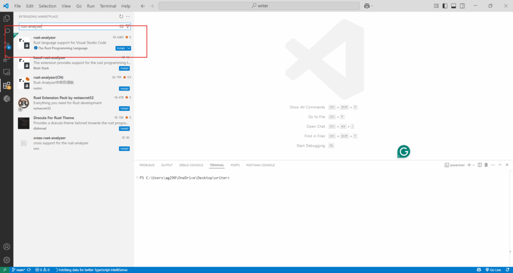 rust-analyzer extension