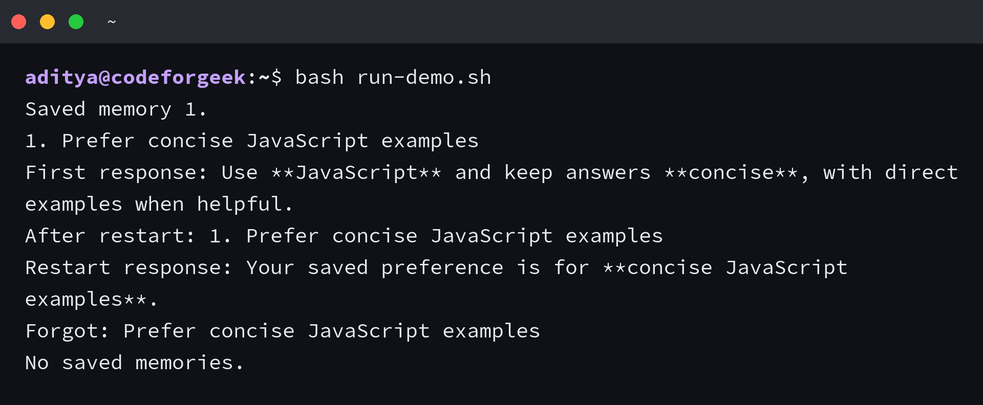 Node.js chatbot memory restart and deletion test in a terminal