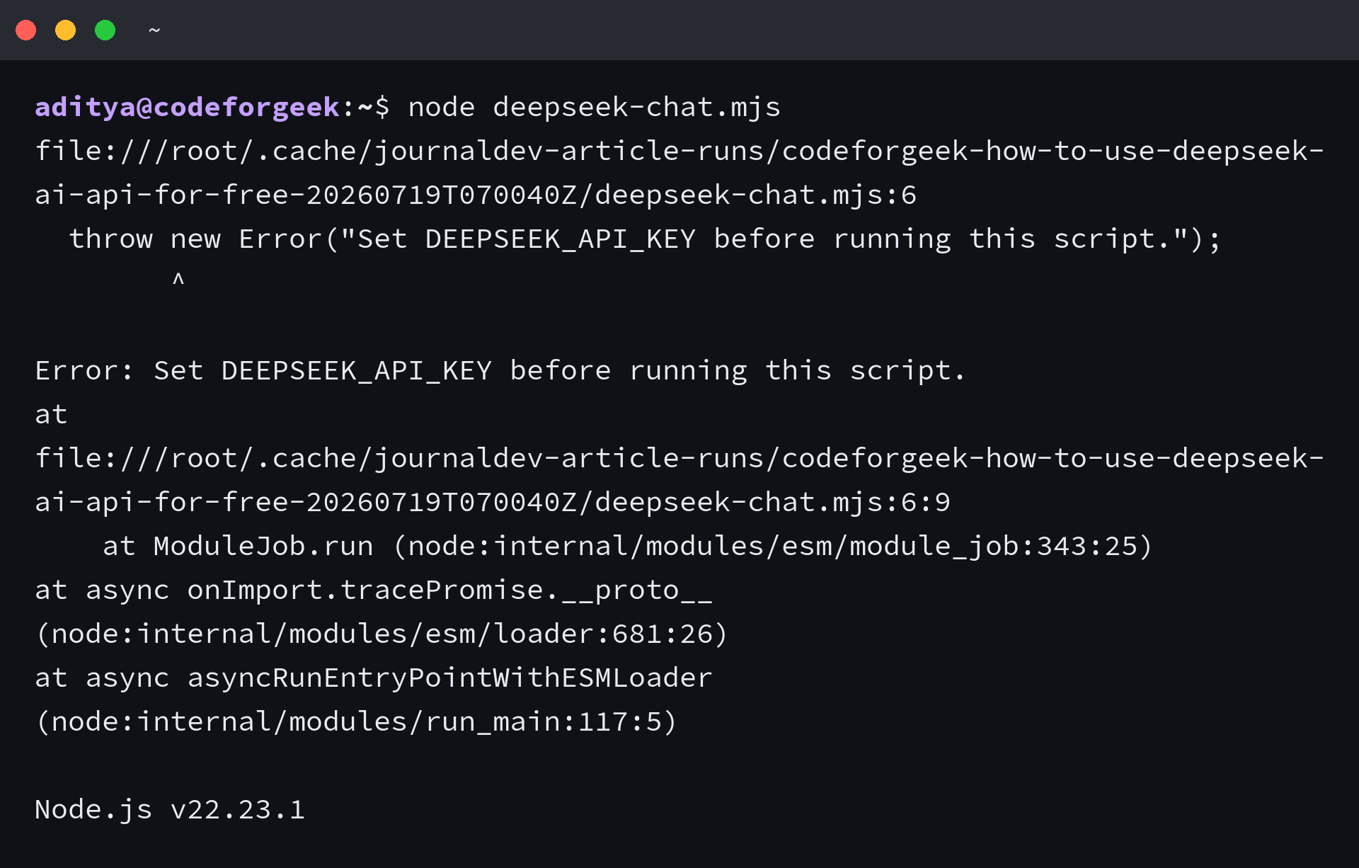 Terminal output showing the missing DeepSeek API key error