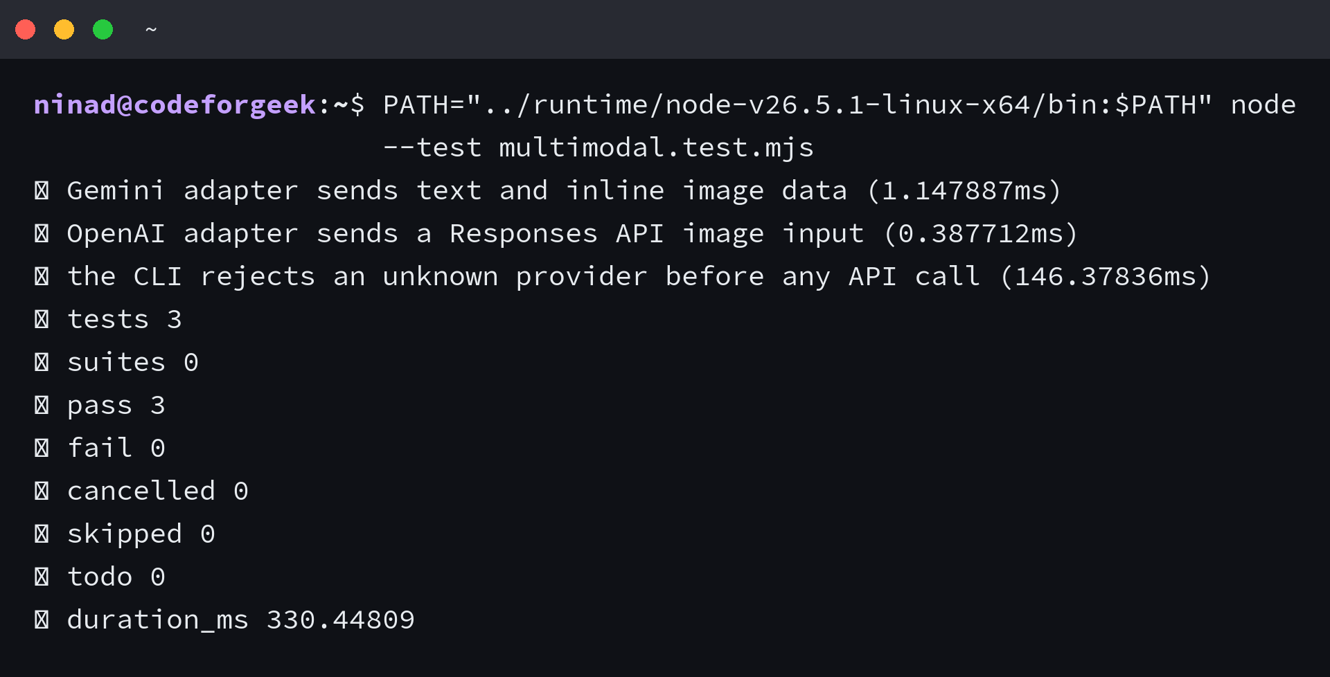 Node.js test runner confirms both multimodal API adapters pass