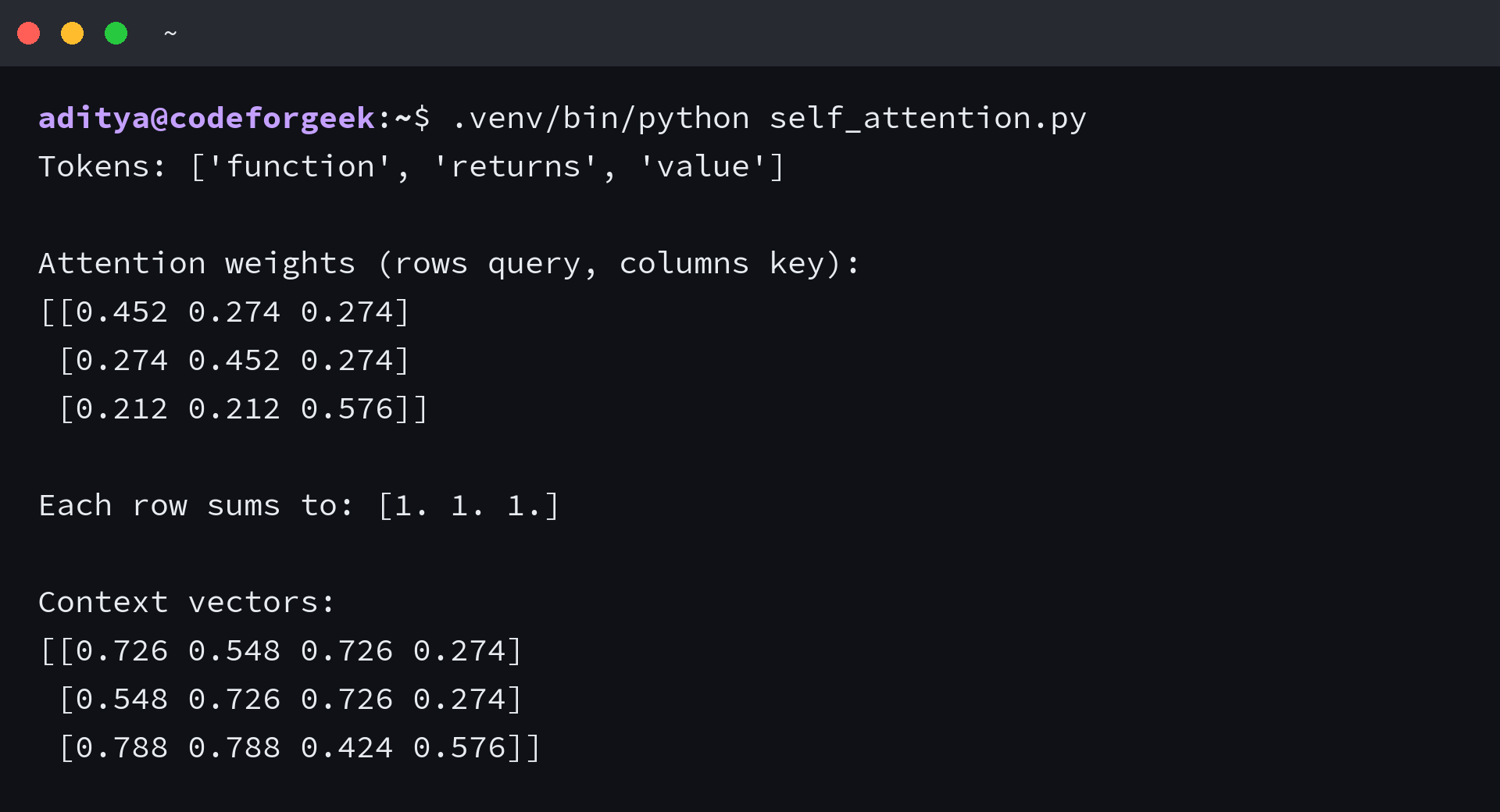 Terminal output from the NumPy self-attention example