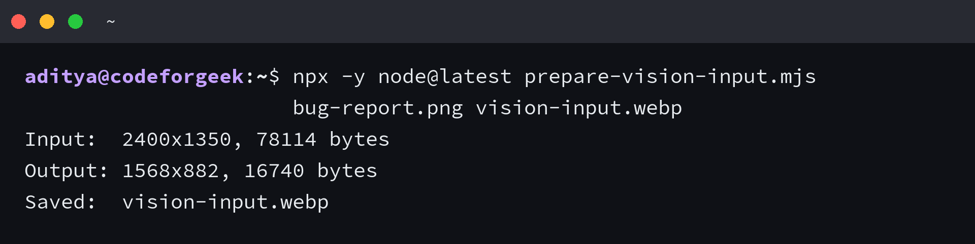 Terminal output from the Node.js image preflight script