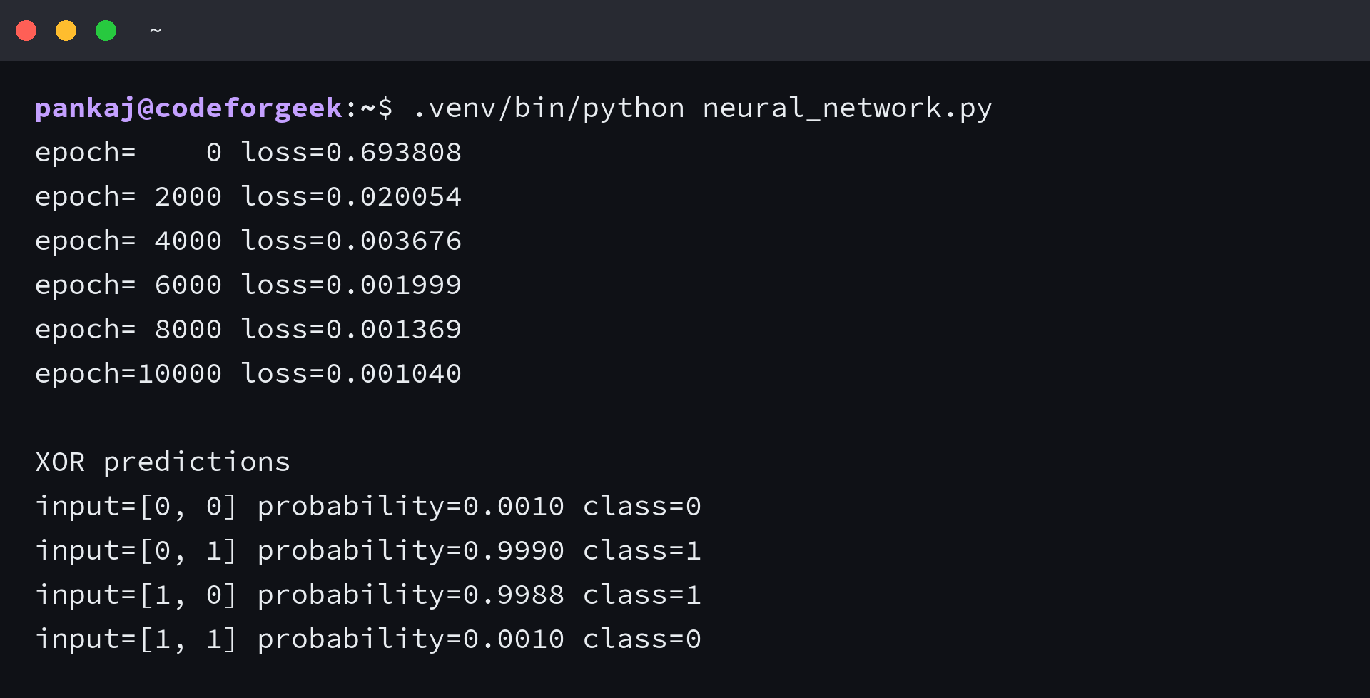 Terminal output from training a NumPy neural network on XOR data