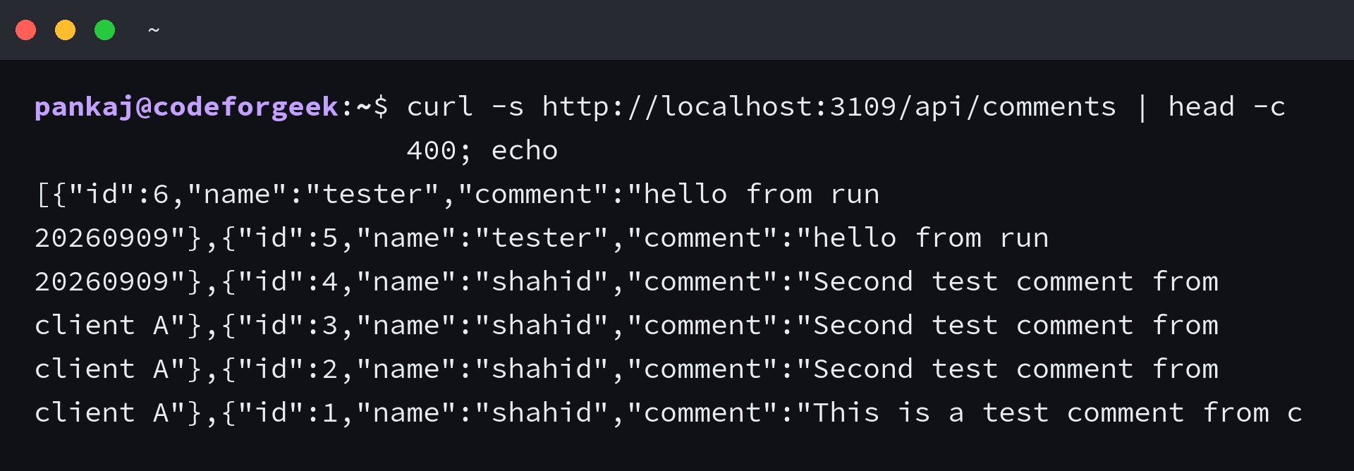 Terminal output of the comments JSON API showing stored comments
