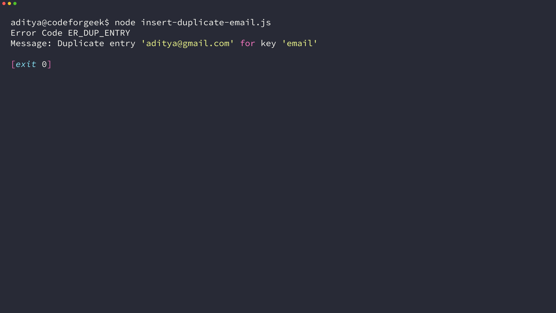 Terminal running node insert-duplicate-email.js showing ER_DUP_ENTRY for a repeated email