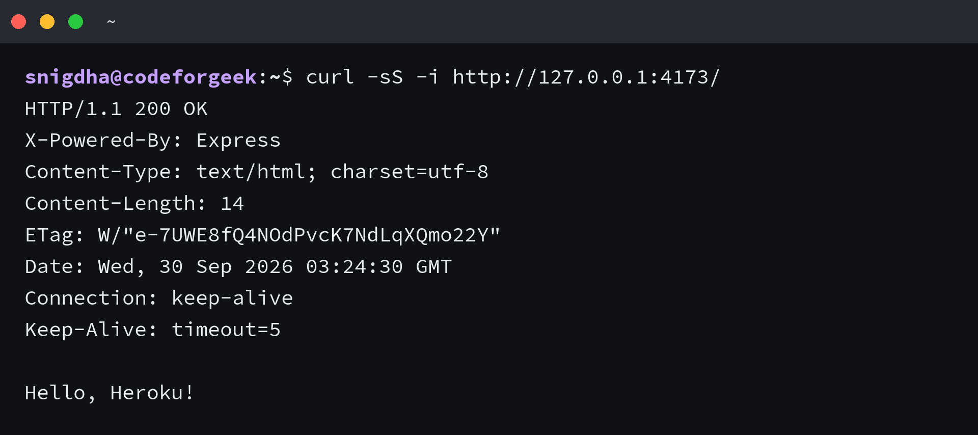 Terminal HTTP response from the Express app listening on port 4173