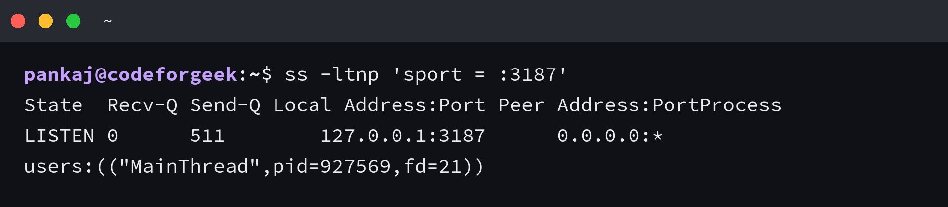 ss output showing the Node app listening only on 127.0.0.1:3187