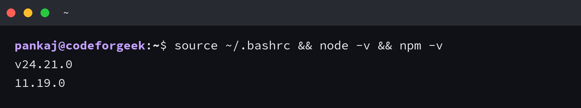 Terminal output showing Node.js v24.21.0 and npm 11.19.0