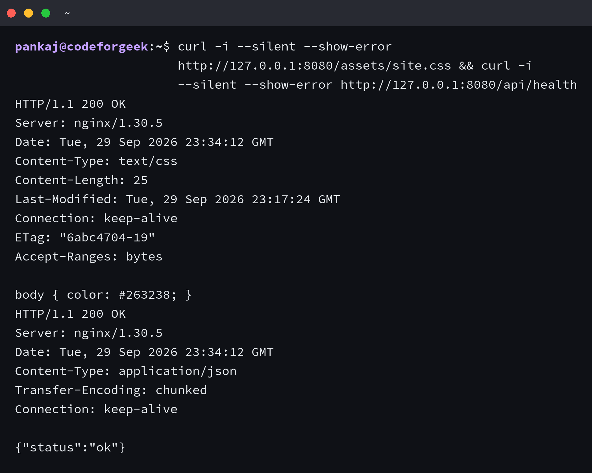 Terminal output from NGINX 1.30.5 showing CSS text/css and a Node health response, both with HTTP 200