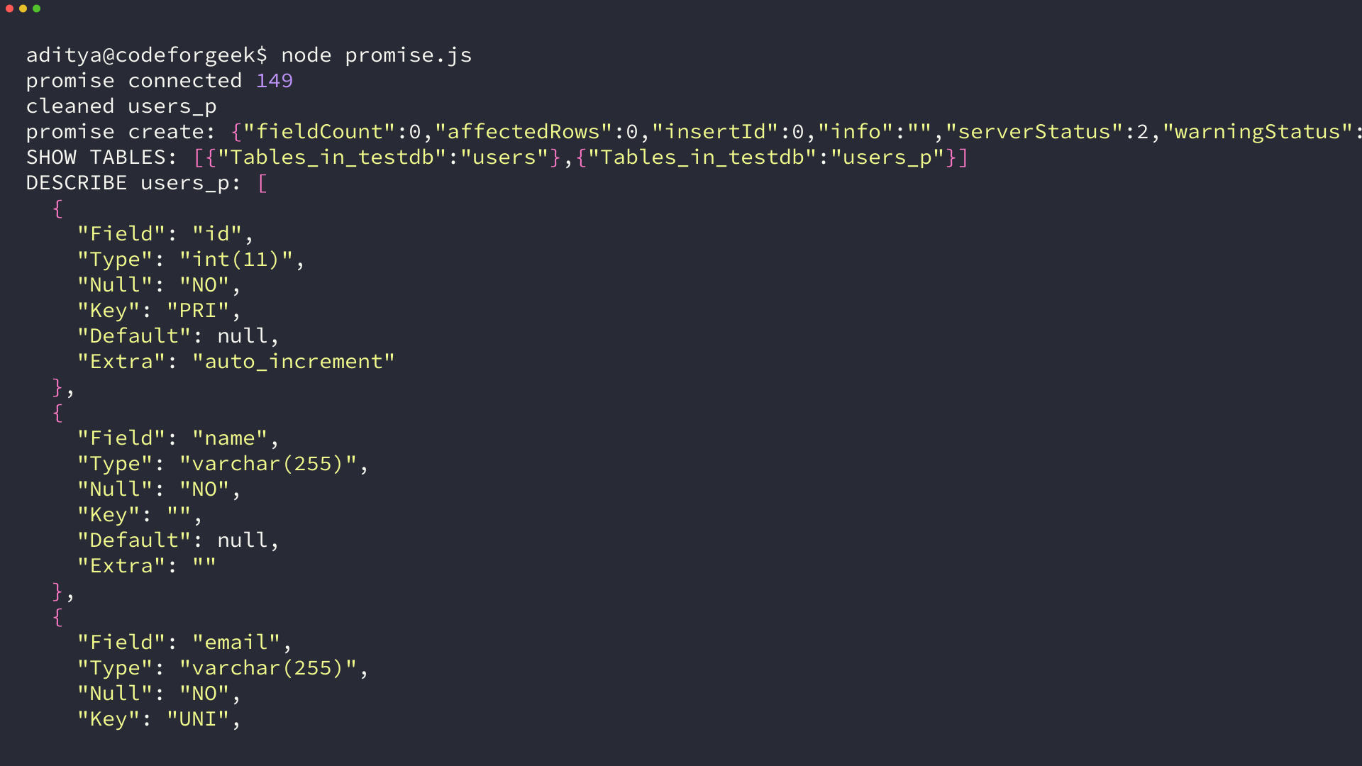 Terminal showing promise connected, cleaned users_p, promise create ResultSetHeader and SHOW TABLES listing