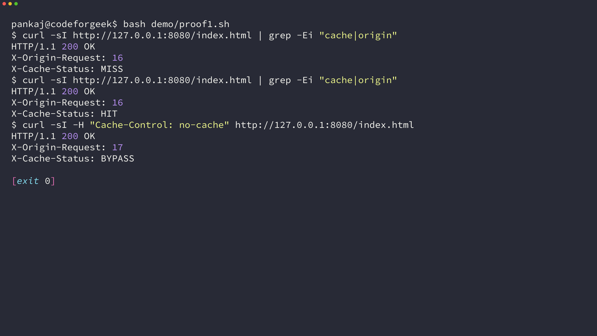 Nginx response headers for the same URL showing X-Cache-Status MISS then HIT with the origin request counter unchanged, then BYPASS for a request carrying Cache-Control no-cache