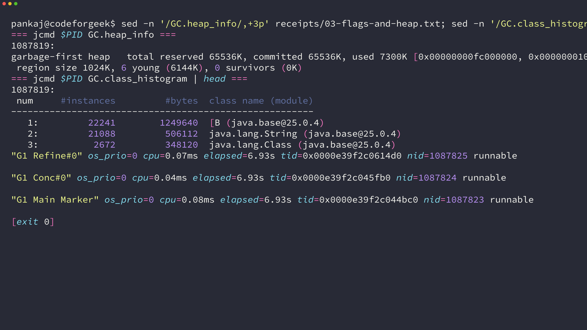 Terminal output of jcmd GC.heap_info, jcmd GC.class_histogram and a thread dump excerpt from a running Java process
