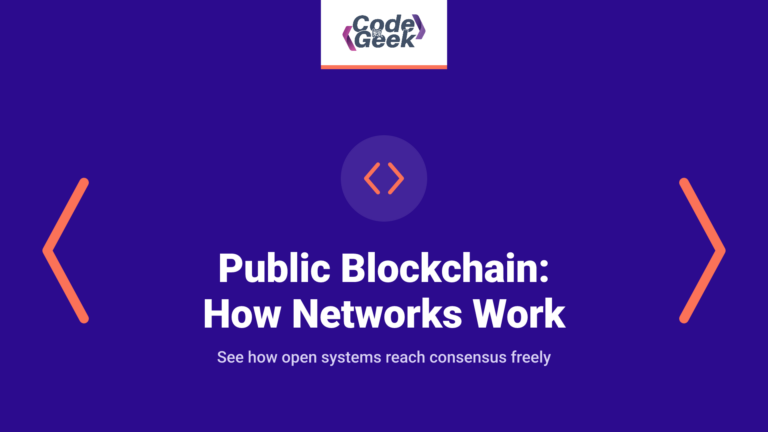 Public Blockchain: How Permissionless Networks Work