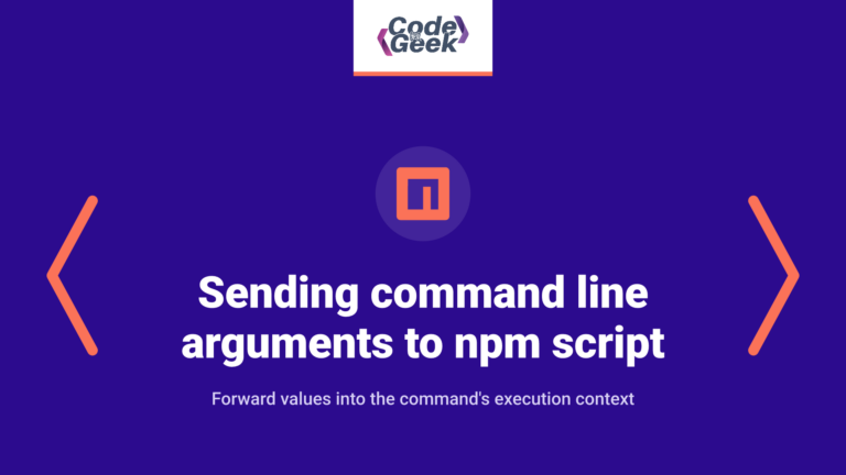 Sending command line arguments to npm script