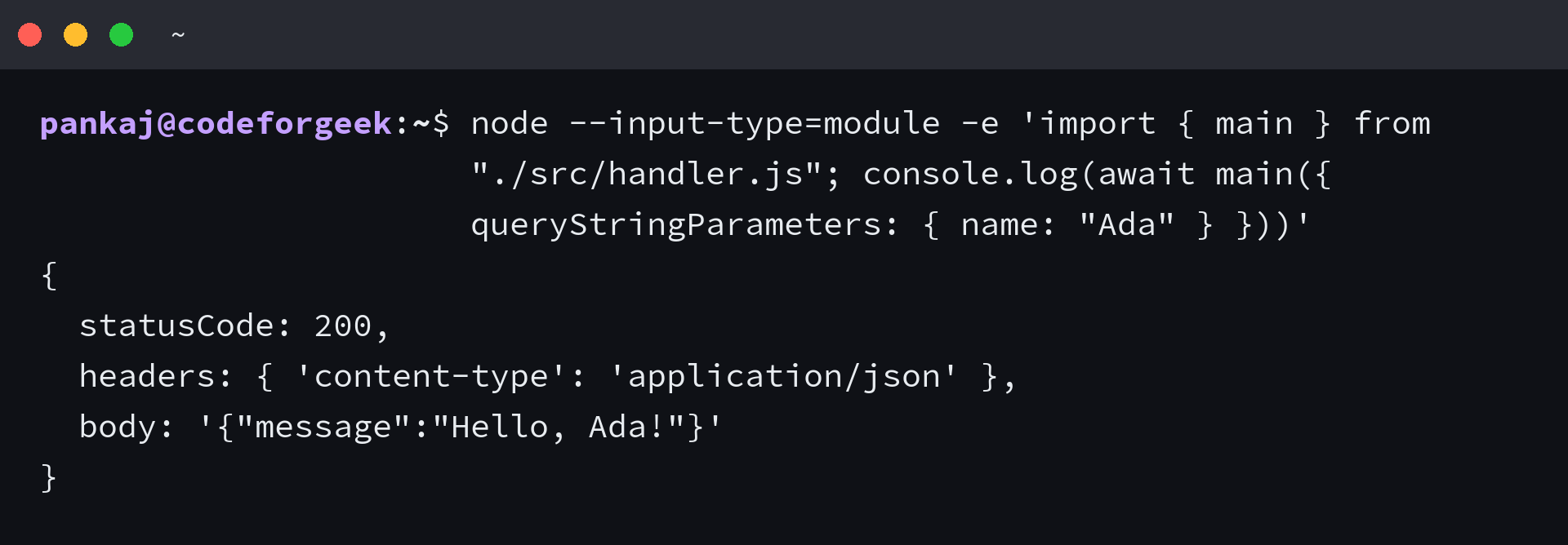 Node.js handler returns status 200 and a JSON greeting for Ada