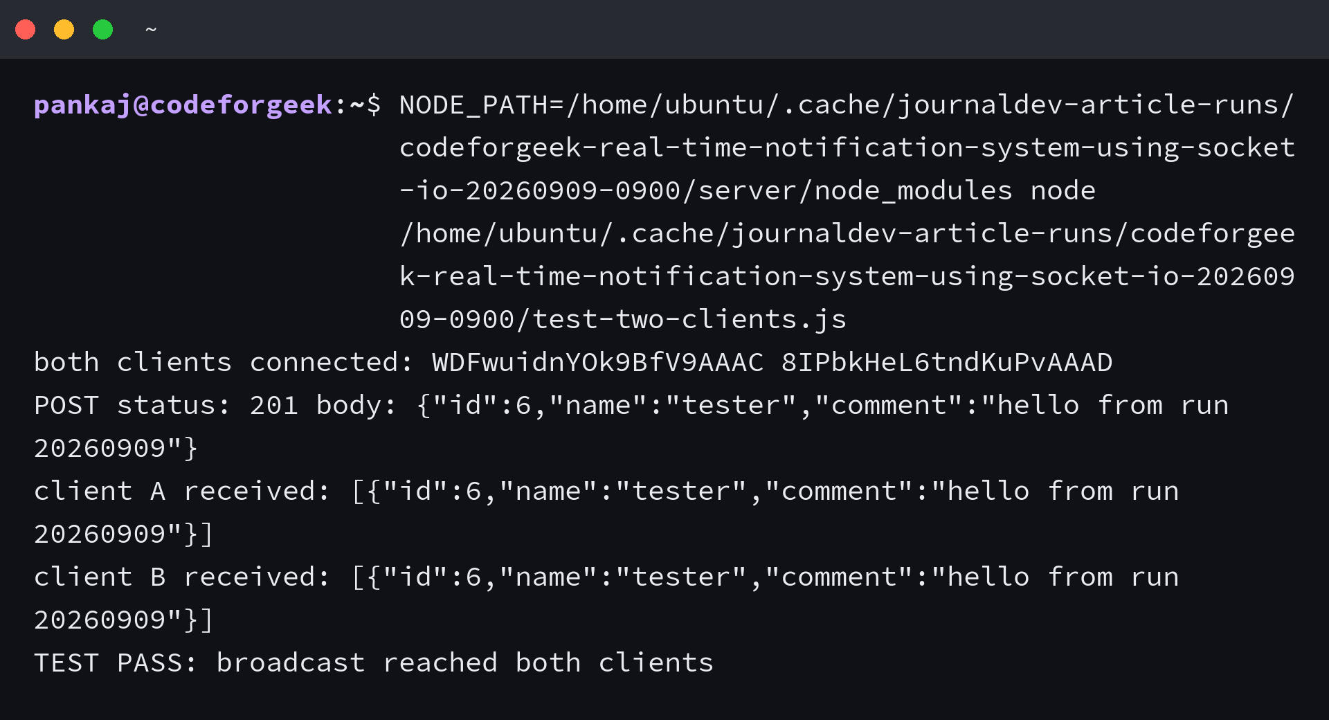 Terminal output of the two-client Socket.IO broadcast test showing TEST PASS