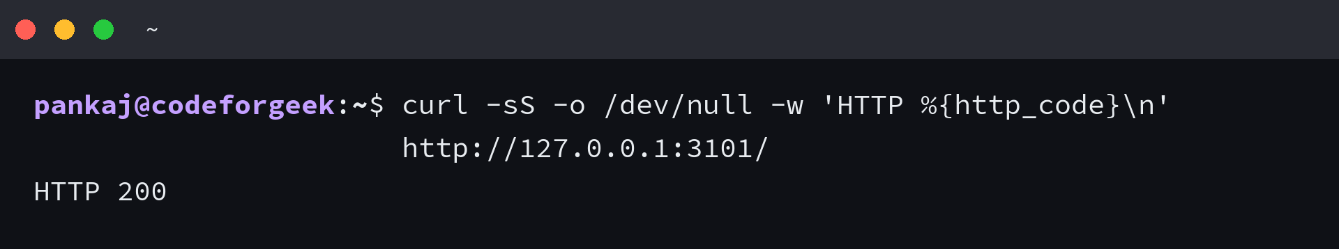 curl reports HTTP 200 from the generated Express app at its root path.