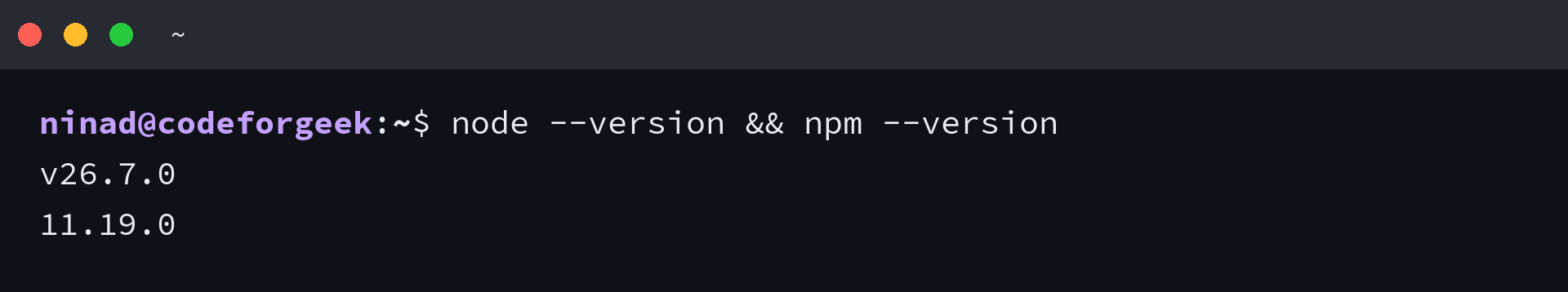 Terminal output from node --version and npm --version