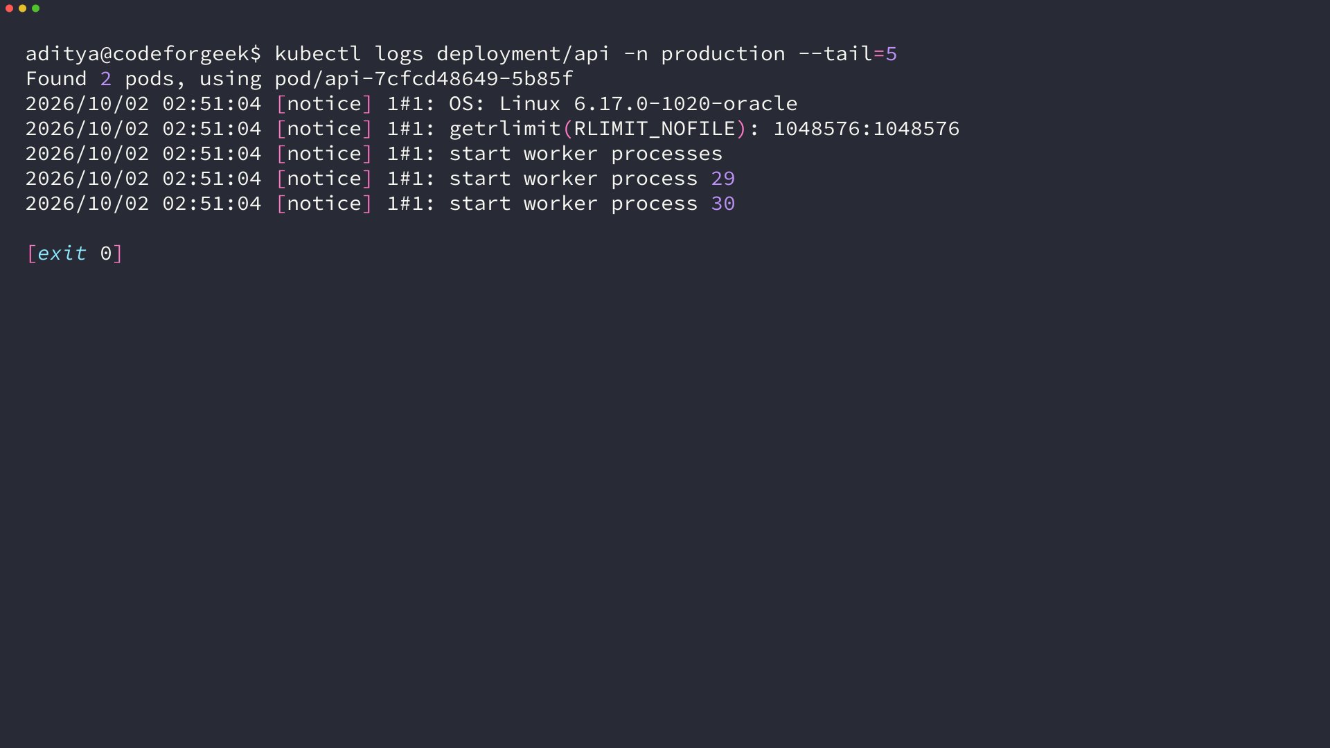 Terminal output from kubectl logs showing startup messages from the api Deployment.