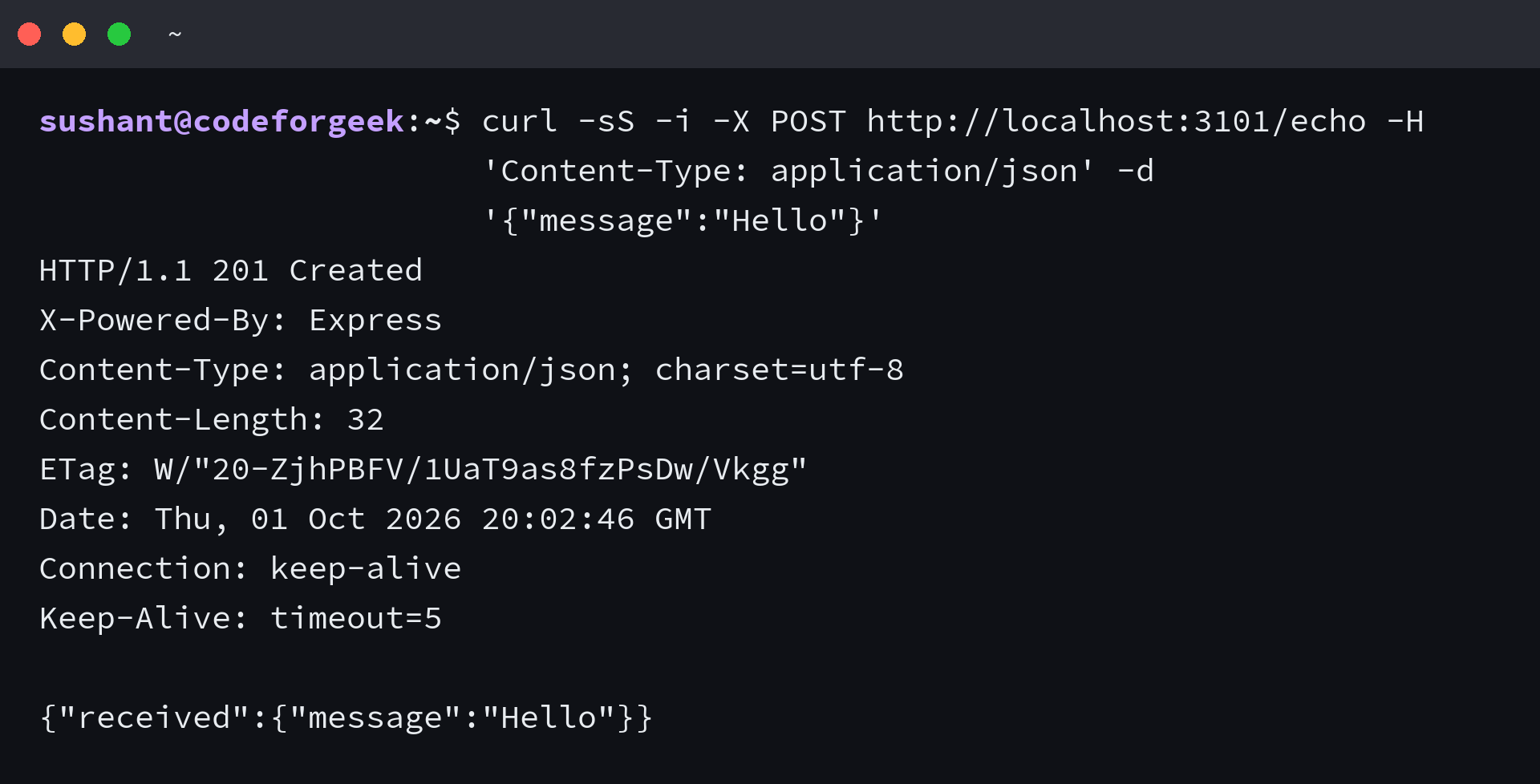 Express POST /echo response showing HTTP 201 Created and returned JSON