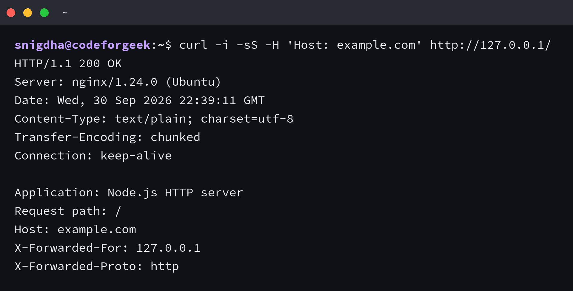 Successful request from Nginx to a Node.js HTTP server