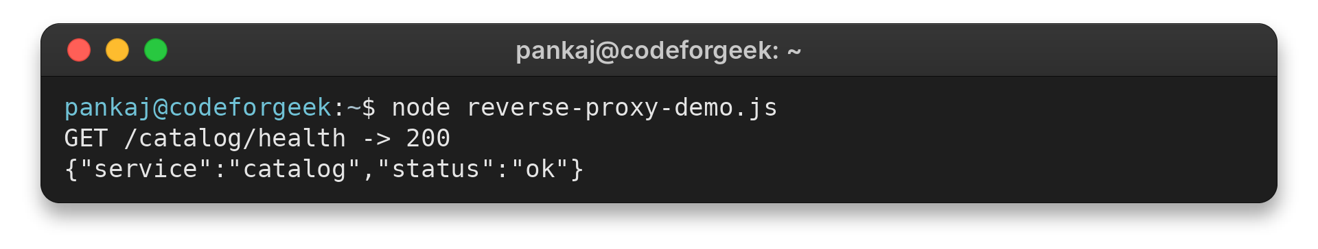 Express proxy terminal output showing a successful catalog health request