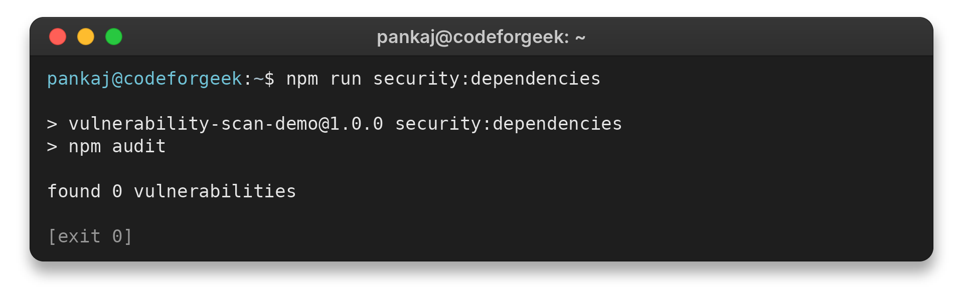 npm audit output reporting zero known vulnerabilities for the demo dependency lockfile