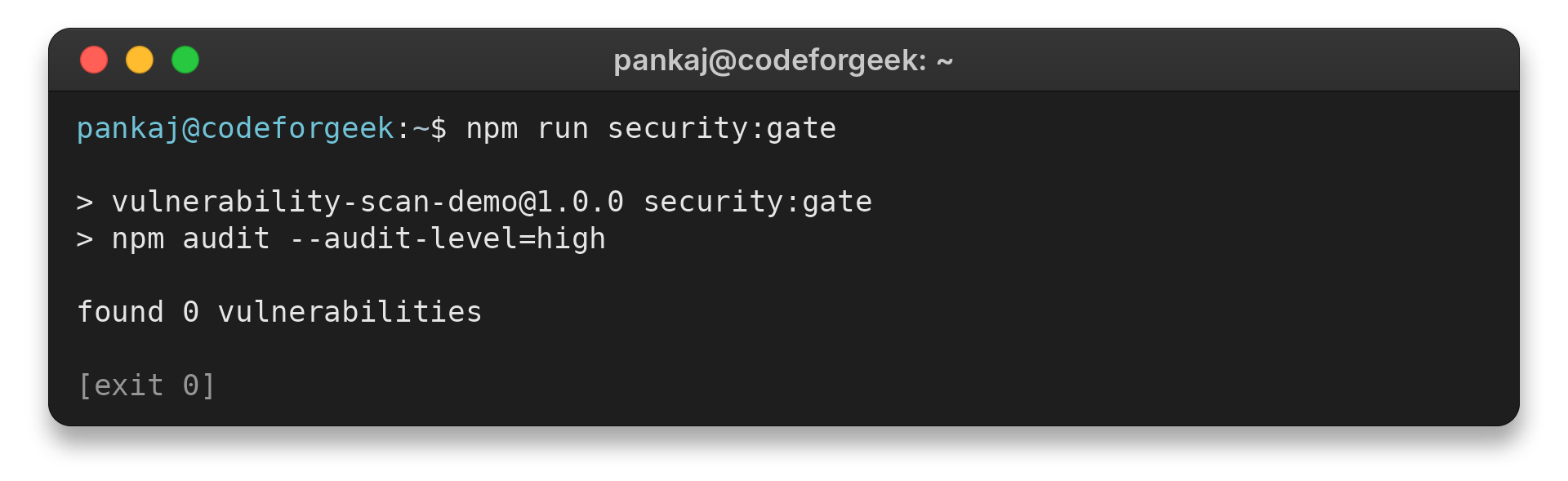 npm audit high severity threshold output for the demo dependency lockfile