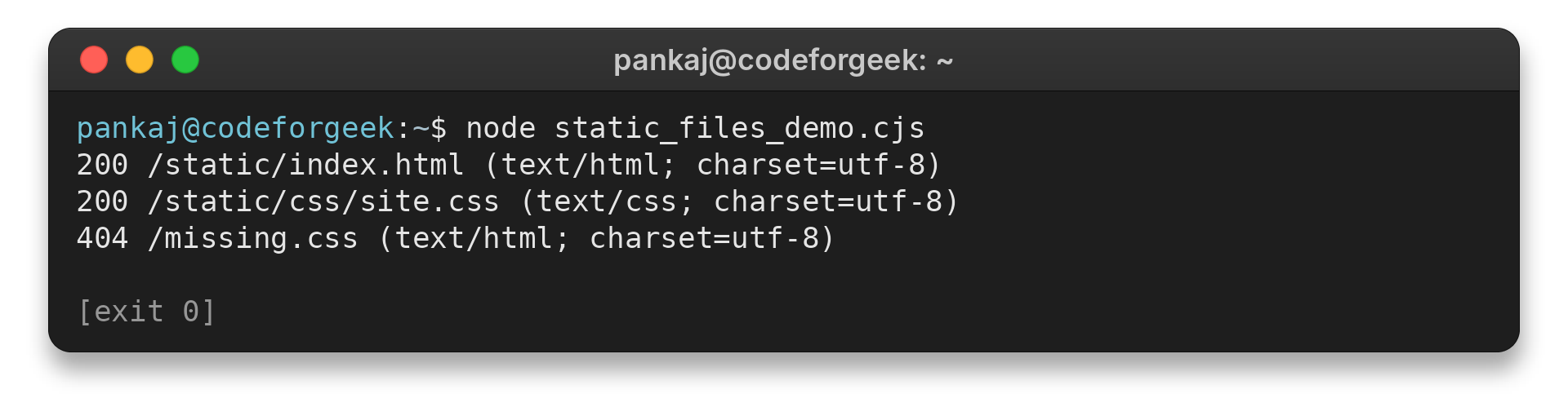 Terminal output showing successful HTML and CSS requests and a missing-file 404