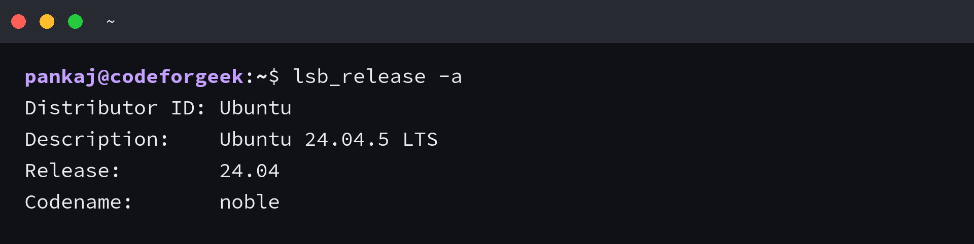 lsb_release identifies the terminal environment as Ubuntu 24.04.5 LTS